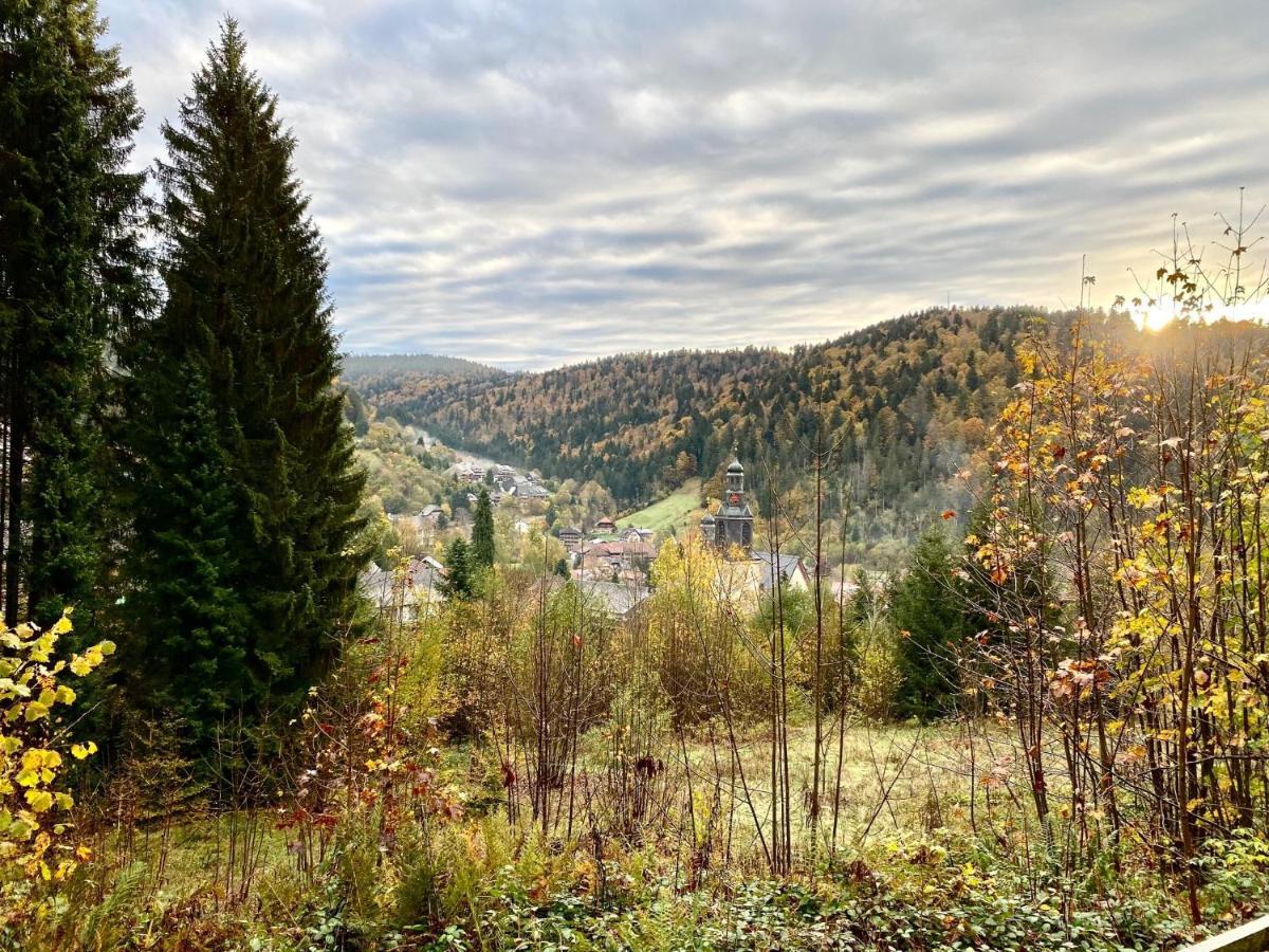 Apartment-Chalet Panorama Тодтмос Экстерьер фото